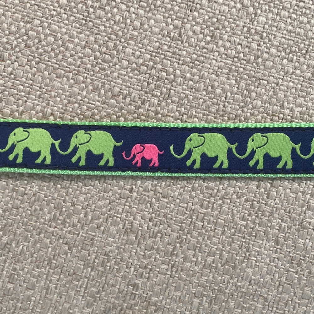 NWT puppy-dog leash & collar - Picture 2 of 2